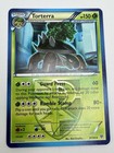 Torterra