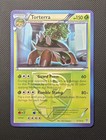 Torterra