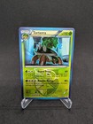 Torterra