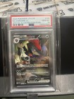 N's Zoroark ex