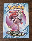 N's Zoroark ex
