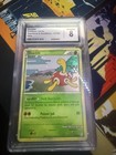 Shuckle