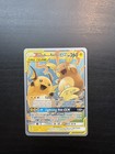 Raichu & Alolan Raichu GX