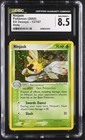 Ninjask