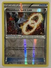Houndoom Spirit Link