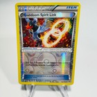 Houndoom Spirit Link
