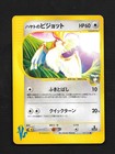 Falkner's TM 01