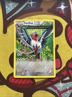 Swellow