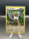 Swellow