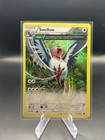 Swellow