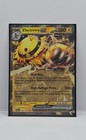 Electivire ex
