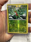 Grovyle