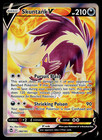 Skuntank V