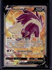 Skuntank V
