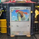 Pidgeotto