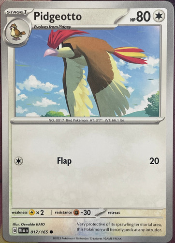 Pidgeotto
