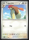 Pidgeotto