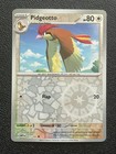 Pidgeotto