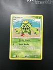 Cacnea