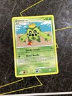 Cacnea