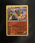 Team Magma's Numel