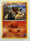 Team Magma's Numel