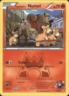Team Magma's Numel