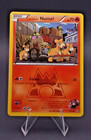Team Magma's Numel