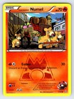 Team Magma's Numel