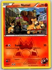 Team Magma's Numel