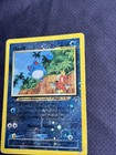 Swampert