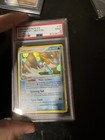 Swampert