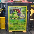 Swadloon