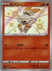 Scorbunny