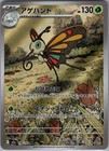 Beautifly