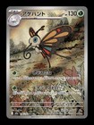 Beautifly