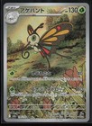 Beautifly