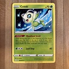 Celebi