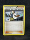 Professor Birch's Observations