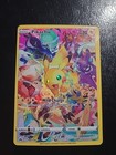 Pokemon Catcher