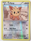 Lillipup