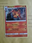 Torracat