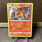 Torracat