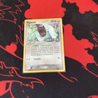 Vigoroth