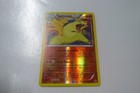 Typhlosion