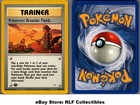 Pokemon Breeder Fields