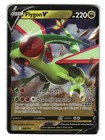 Flygon V