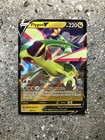 Flygon V