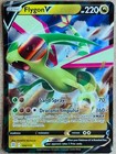 Flygon V