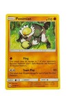 Passimian